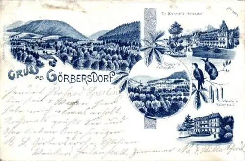 Litho Görbersdorf Oederan Sachsen, Gesamtansicht, Dr.-Brehmer's-Heilanstalt