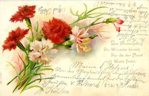 Perl Litho Nelken, Der Blumenzweig Dir Wünsche kündet