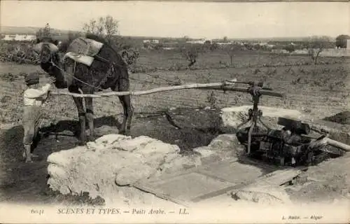 Ak Scenes et Types, Puits Arabe, Ziehbrunnen, Kamel