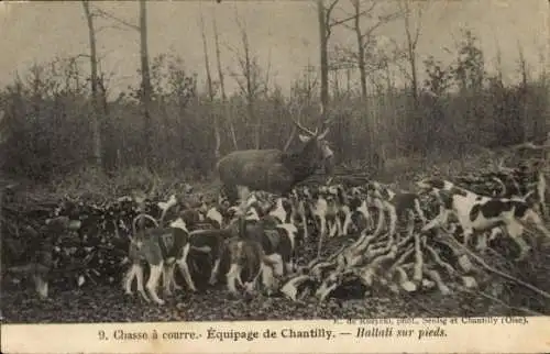 Ak Chantilly Oise, Jagd, Hallali zu Füßen