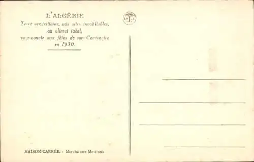 Ak Maison Carrée Algerier, Schafmarkt