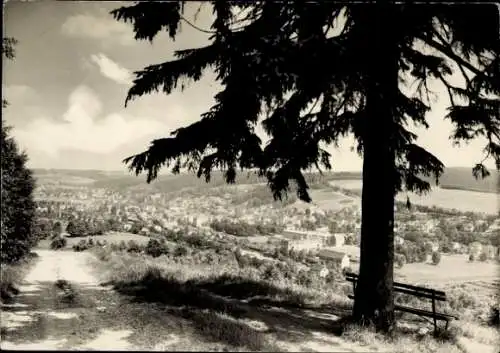 Ak Olbernhau im Erzgebirge, Totalansicht