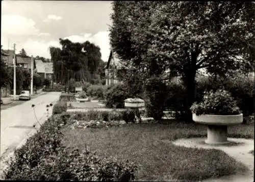 Ak Oberhain Königsee in Thüringen, Anlagen an der Dorfstraße