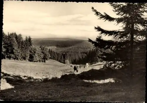 Ak Oberbärenburg Altenberg im Erzgebirge, Panorama, Försterwiese