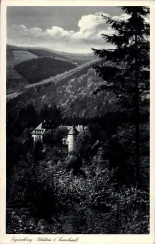 Ak Bilstein Lennestadt im Sauerland, Jugendherberge Burg Bilstein, Panorama