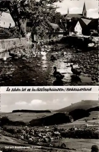 Ak Assinghausen Olsberg im Sauerland, Brücke, Enten, Panorama m. Bruchhauser Steinen