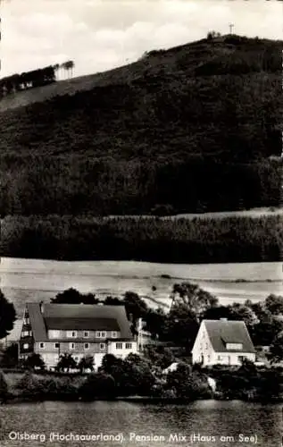 Ak Olsberg im Sauerland, Pension Mix, Haus am See, Panorama