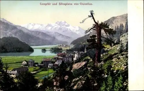 Ak Chasellas St. Moritz Graubünden, Campfer, Silvaplatte