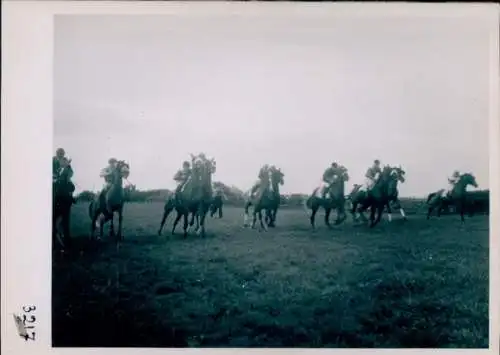 Foto Pferderennen, Rennpferde auf der Rennbahn, Jockeys