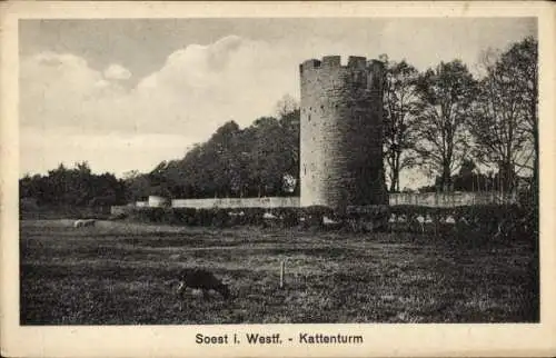 Ak Soest in Westfalen, Kattenturm