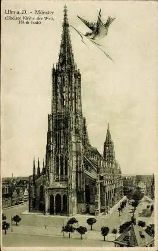 Ak Ulm an der Donau, Münster, Spatz