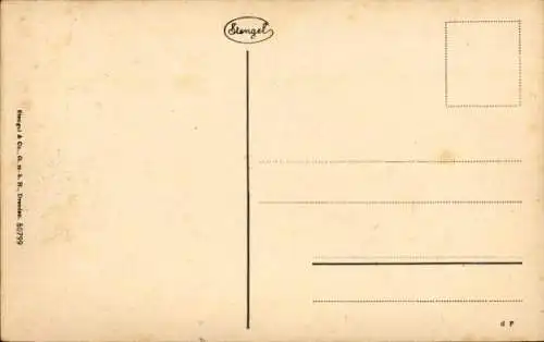 Ak Ulm an der Donau, Münster, Spatz