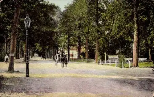 Ak Bussum Nordholland Niederlande, Allee, Kutsche