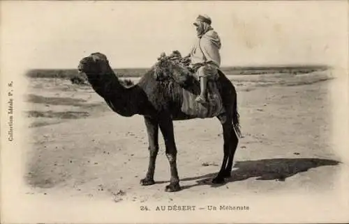 Ak Araber reitet auf Kamel, Wüste, Maghreb