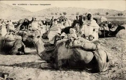 Ak Rastende Karawane, Kamele, Maghreb