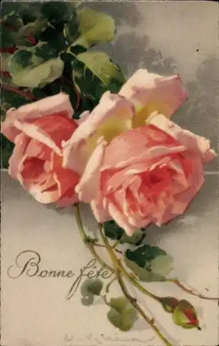 Künstler Ak Catharina Klein, Glückwunsch, Rosa Rosen, Tautropfen