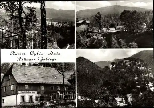 Ak Hain Oybin in der Oberlausitz, Zittauer Gebirge, Forsthaus Hain, Hochwald