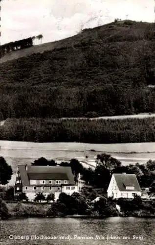 Ak Olsberg im Sauerland, Pension Mix, Haus am See