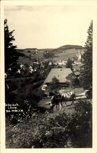 Ak Schonach im Schwarzwald, Teilansicht, Panorama