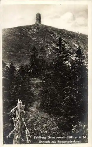 Ak Feldberg im Schwarzwald, Seebuck, Bismarckdenkmal