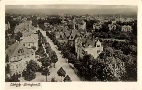 Foto Ak Dresden Klotzsche Königswald, Teilansicht, Straßenpartie