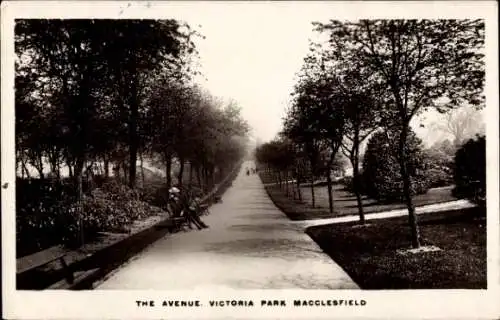 Ak Macclesfield Cheshire England, Avenue, Victoria Park