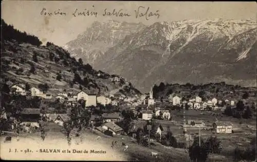 Ak Salvan Kanton Wallis Schweiz, Gesamtansicht