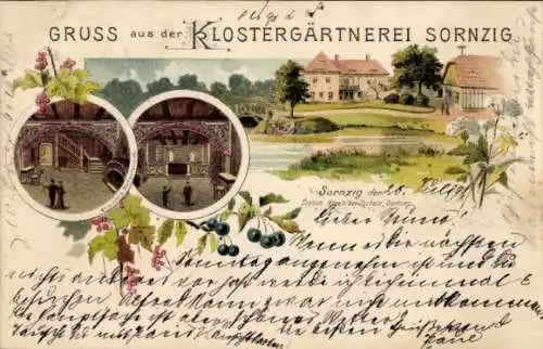 Litho Sornzig Ablaß Mügeln in Sachsen, Klostergärtnerei, Kirschen, Johannisbeeren