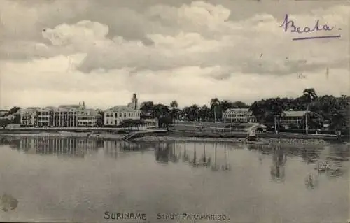 Ak Paramaribo Suriname, Teilansicht