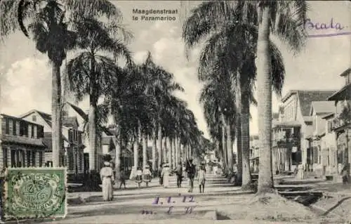 Ak Paramaribo Suriname, Maagdenstraat