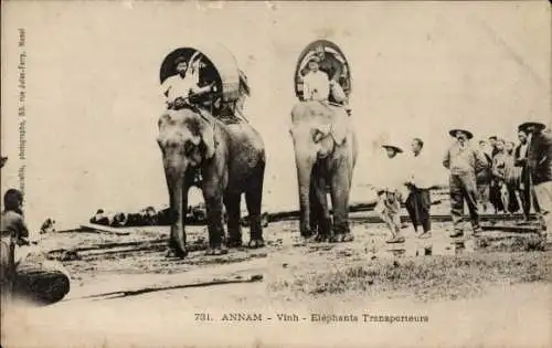 Ak Vinh Annam Vietnam, Elephants transporteurs, Elefanten, Vietnamesen