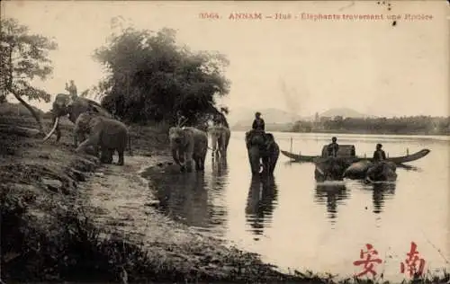 Ak Hue Annam Vietnam, Elephants traversant une riviere