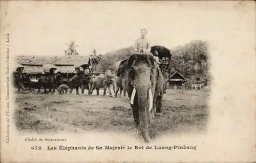 Ak Luang Prabang Laos, Die Elefanten Seiner Majestät des Königs