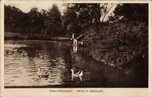 Ak Altenessen Essen im Ruhrgebiet, Kaiserpark, Teich