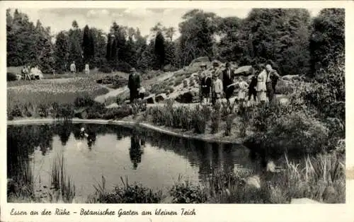 Ak Essen im Ruhrgebiet, Botanischer Garten am kleinen Teich