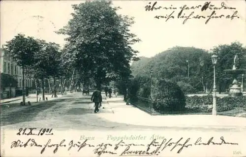 Ak Bonn am Rhein, Poppelsdorfer Allee, Teilansicht, Brunnen