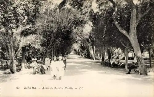 Ak Biskra Algerien, Public Garden Alley