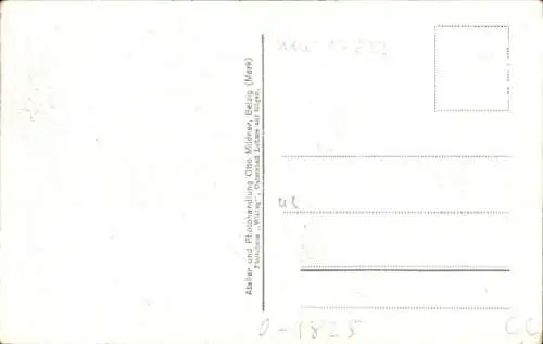 Ak Wiesenburg in der Mark, Schloss, Männechen Tor