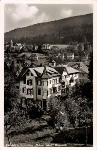 Ak Bad Herrenalb im Schwarzwald, Kurhaus und Sanatorium Grüner Wald