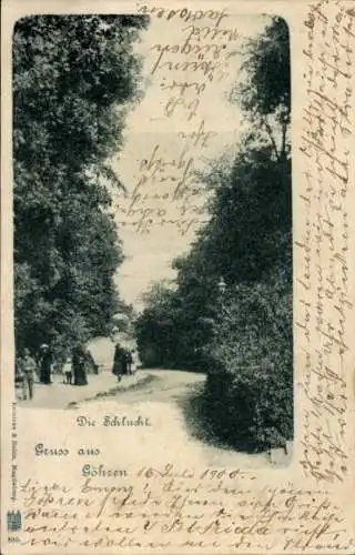 Ak Ostseebad Göhren auf Rügen, Die Schlucht