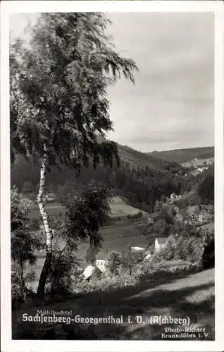 Ak Sachsenberg Georgenthal Klingenthal im Vogtland, Mühlbachtal