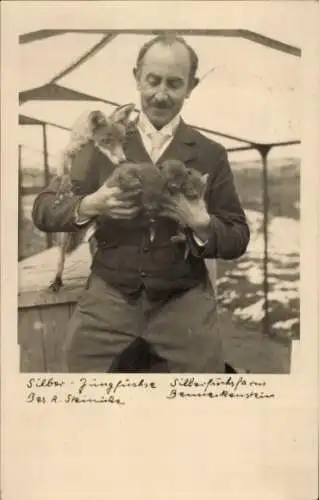 Foto Ak Benneckenstein Oberharz, Silberfuchsfarm R. Steinicke, junge Silberfüchse