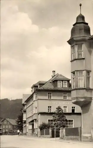Ak Steinach im Thüringer Wald, HO Hotel Loreley