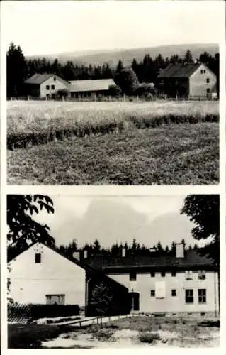 Ak Zollgrün Tanna in Thüringen, Teilansichten, Gehöft