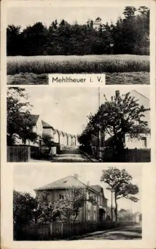 Ak Mehltheuer Rosenbach im Vogtland, Strassenansicht, Siedlung, Feld, Wohnhaus