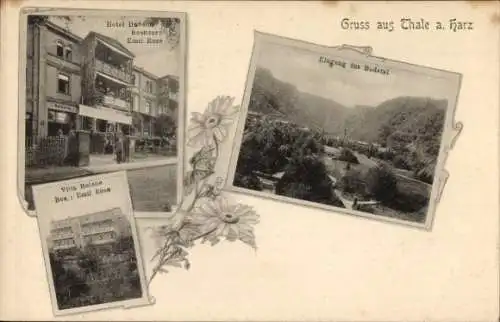 Ak Thale im Harz, Bodetal, Hotel Daheim, Villa Helene