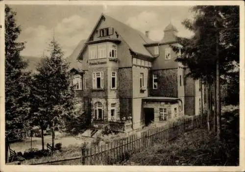 Ak Schierke Wernigerode im Harz, Pension Assmann, Villenkolonie