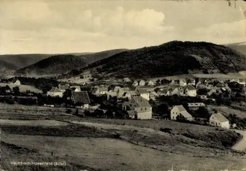 Ak Hasenfeld Heimbach in der Eifel, Gesamtansicht