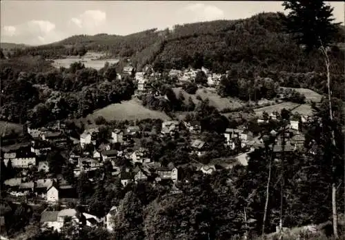 Ak Schwarzburg in Thüringen, Totalansicht