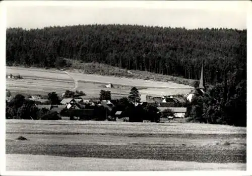 Ak Schönau vor dem Walde in Thüringen, Teilansicht